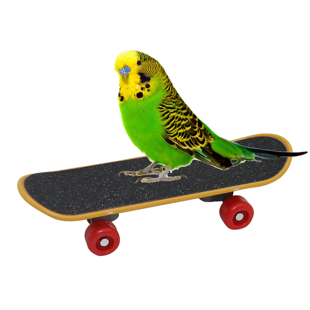 Bird Toys Funny Mini Skateboard Parrot Toy training Skateboard Budgies Parakeet Growth Toy Pajaros Intelligence Bird Accessories