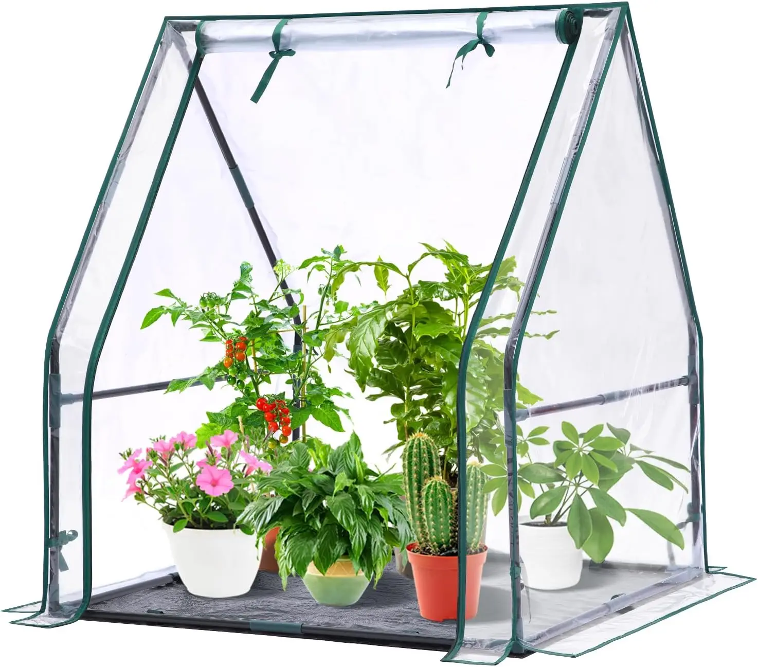 

Mini Greenhouse for Indoor Outdoor: Portable Green House with Waterproof Pad for Small Plants Nursery Germination, 36"x36"