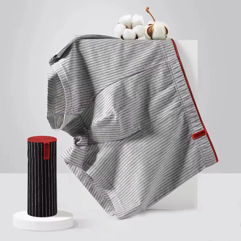 Boxer en coton pour hommes, 4 pièces, sous-vêtements à haute élasticité, sous-vêtements pour la tête, caleçon pour jeunes d'âge moyen