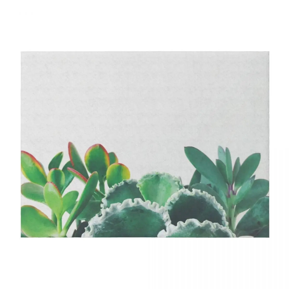 

Plant Trio Throw Blanket Flannel Comforter Luxury Designer Blankets Sofas Of Decoration Blankets