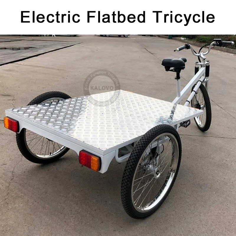 Stronger Flatbed Tricycle Three Wheel Express Delivery Bike Mini Platform Trailer