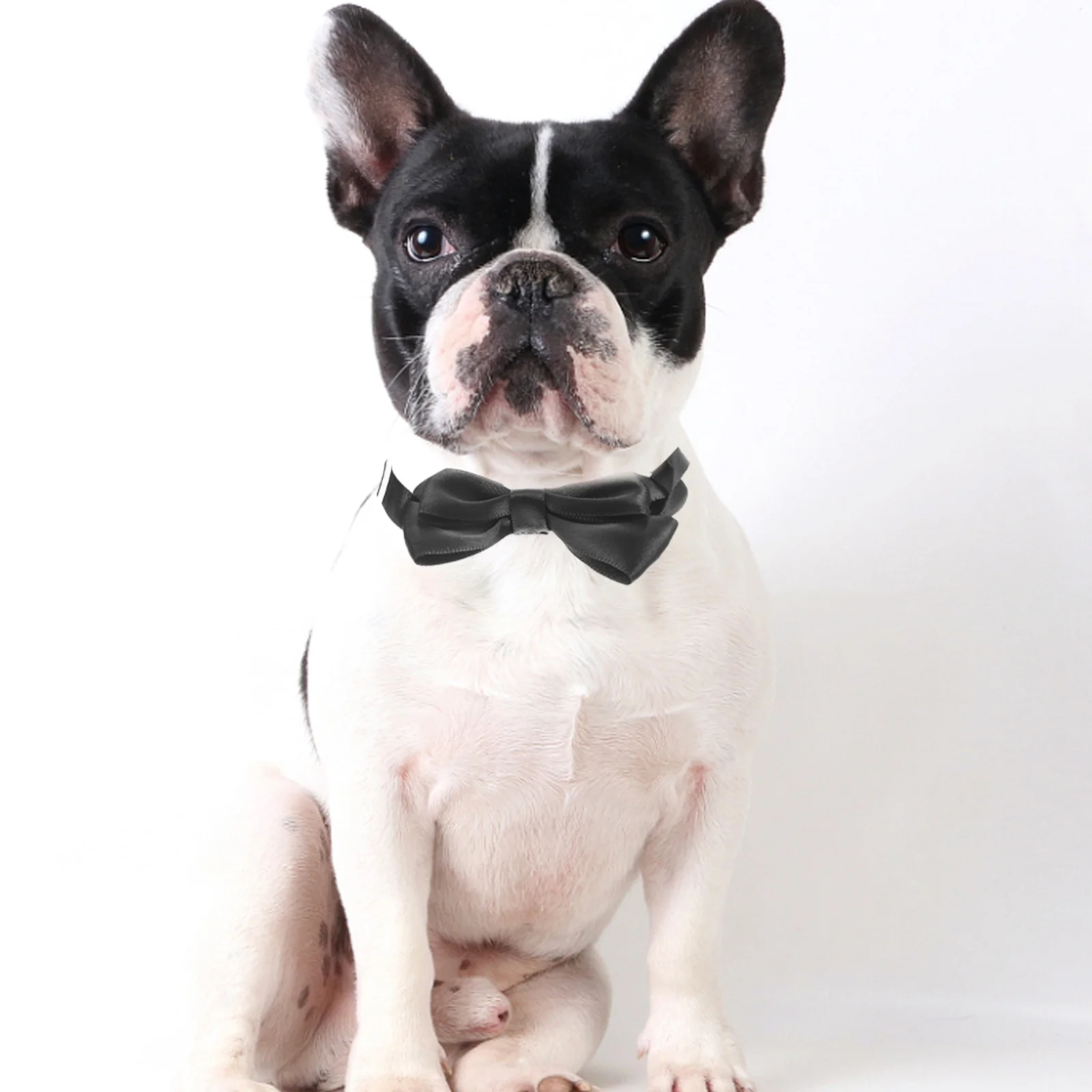 

1Set Pet Hat Fine Craftsmanship Dog Bow Tie Party Birthday Halloween Costume Dog Hat Pet Halloween Supply Funny Cat Headdress