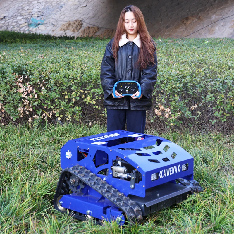 Customized Rc Track… - image