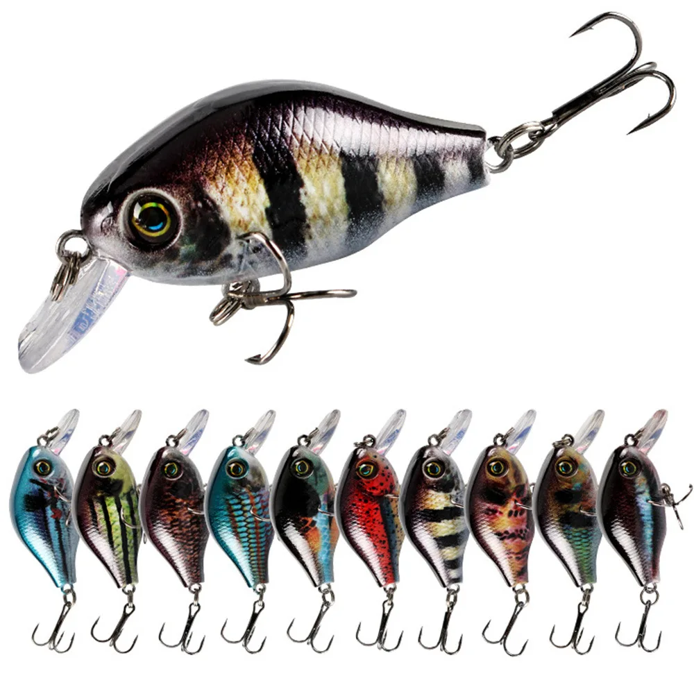 1 Stück Floating Rock Chub Lure 5,5 cm, 7,7 g Forellen-Crankbait, Kunststoffköder mit verstärktem Haken, praktische Angelausrüstung