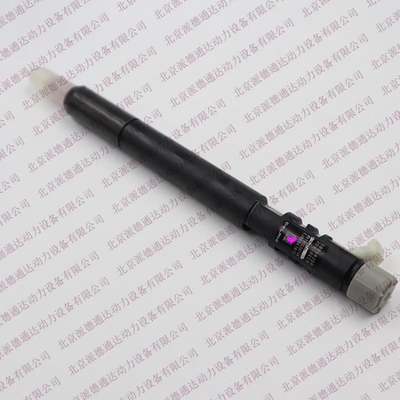 Delphi EJBR04701D A6640170221 EJBR03401D A6640170021/4 Cylinder Fuel Injection