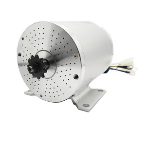 DC-Motor ohne Elektrorin 10 Hauptverkaufs -Elektromotor für Dreirad - №6