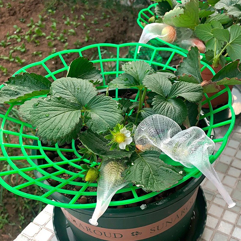 

1PC Strawberry Growing Racks Protector Frame Holder Cage From Mold Rot Dirt Strawberry Plant Supports With 3 Sturdy Legs