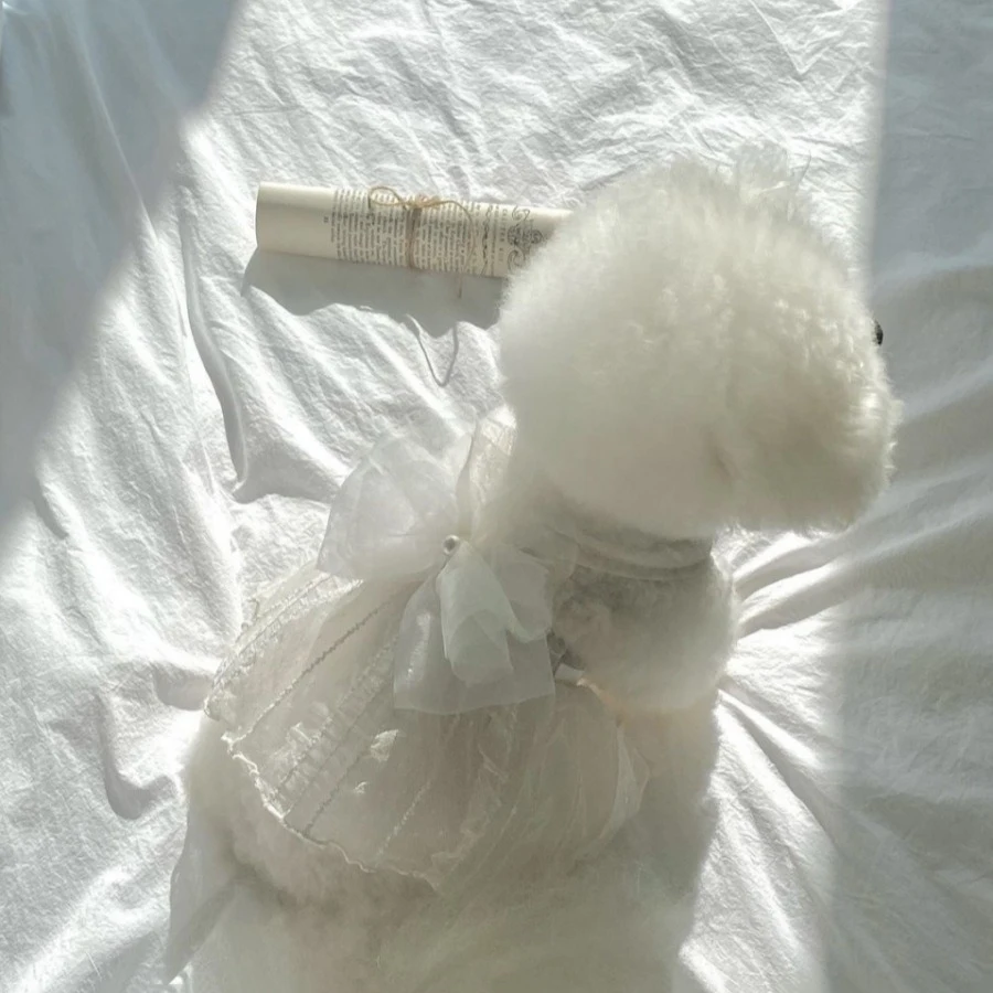 

White Dog Clothes Summer Pet Solid Color Skirt Bichon Frise Fashion Dress Maltese Noble Dresses Dog Products