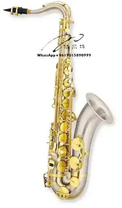 TLTS-A610 Tongling Music Tenor Saxophone in B Flat