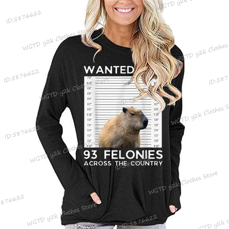 Funny Capybaras Cartoon Long Sleeve T-shirt Capybara Wanted for 93 Felonies Graphic T Shirts Women Cute Animal Lover Gift Shirt