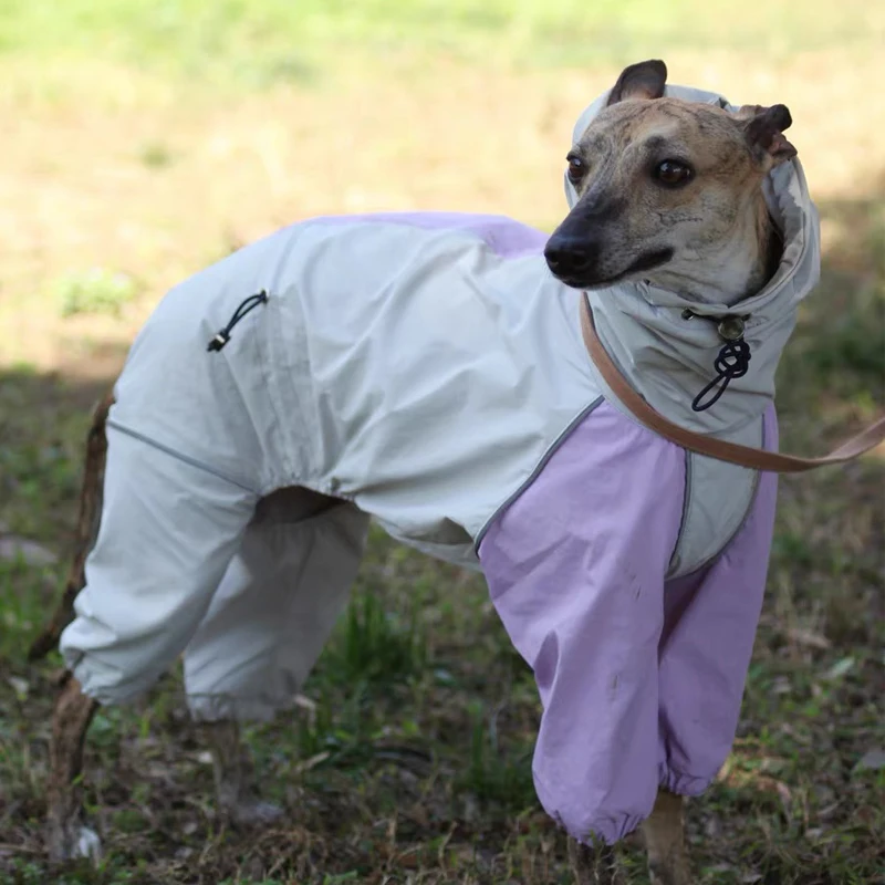 

Summer Spring Lightweight Jacket for Greyhound Small Mid Big Dogs Purple Raincoat Breathable Sun-protective Coat for Whippet