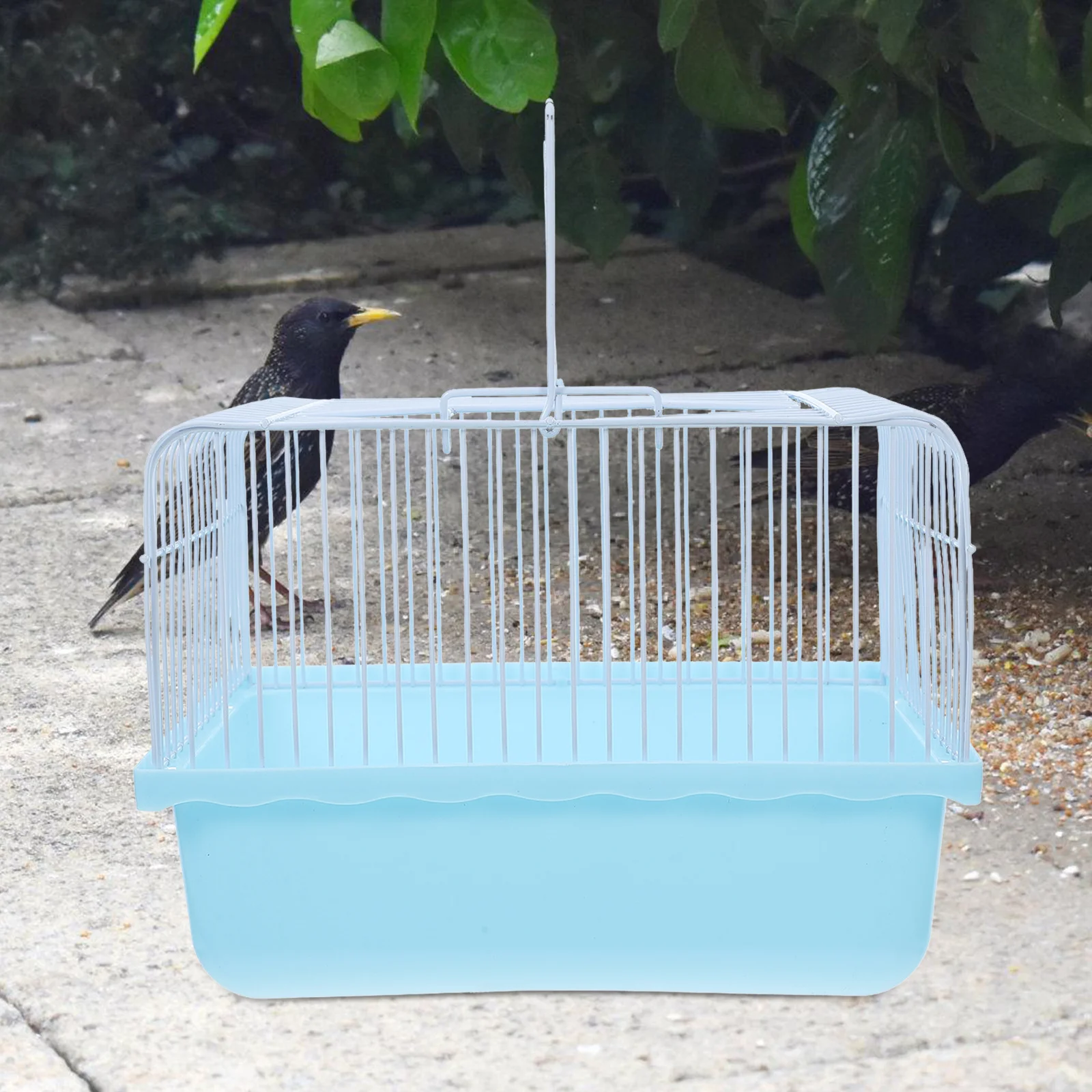 

Lightweight Portable Bird Travel Cage Plastic Carrier for Small Birds Lovebirds Parakeets Cockatiels Travel Carrier