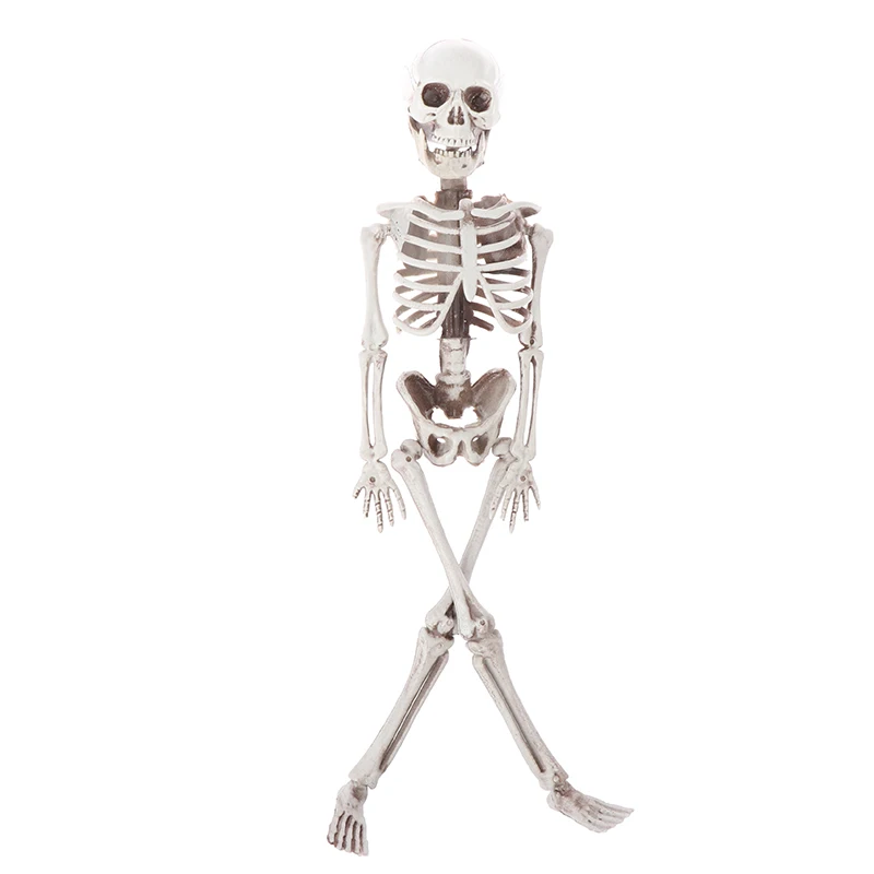 40cm Halloween Tricky Props Horror Skeleton Skeleton Scene Decoration Props