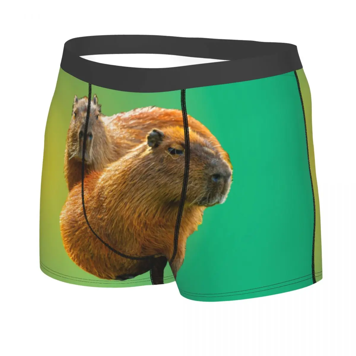 Custom Capybara Pair Print Underwear Men Printed Popular Animals Boxer Shorts Panties Briefs Breathable Underpants