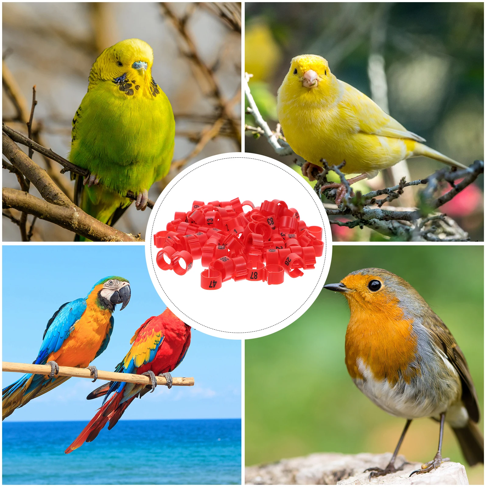 

100 Pcs Pigeon Foot Ring Bands Poultry Leg Rings Baby Chicken Bird Plastic Numbered