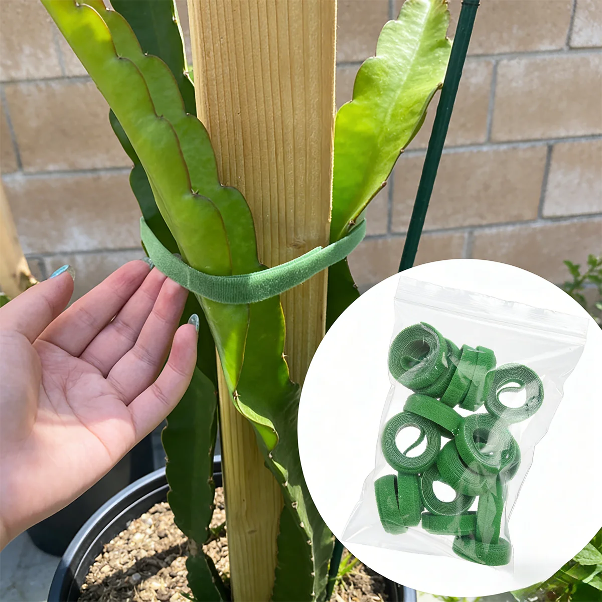 16pcs Reusable Nylon Plant Ties, Adjustable Hook Loop Tape for Garden Potted Plants