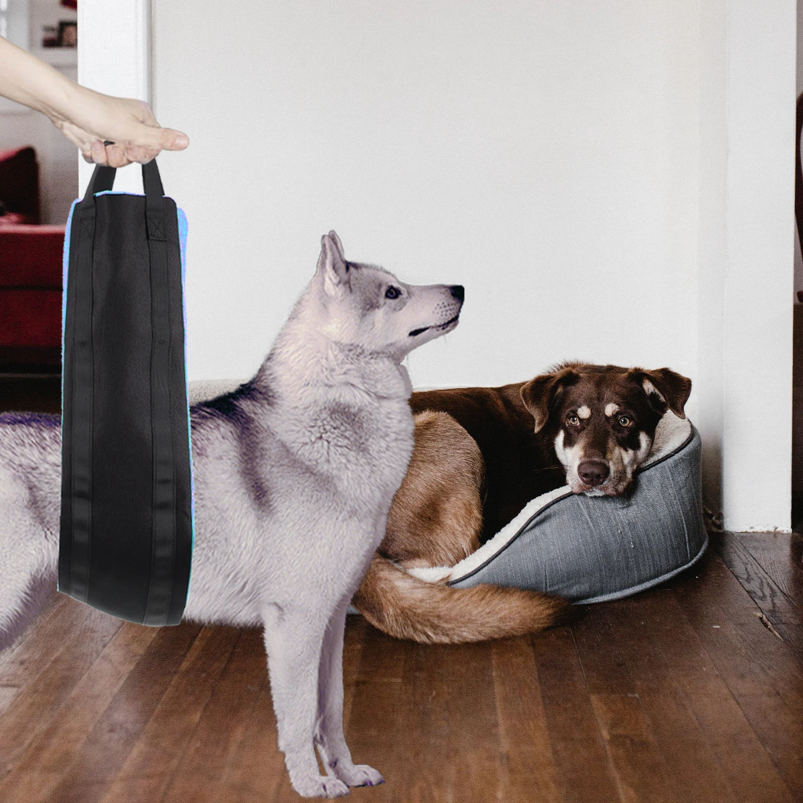 

Portable Dog Pet Auxiliary Portable Dog Sling Belt Hip Support Walking Injury Recovery Supplies Strap Oxford Cloth