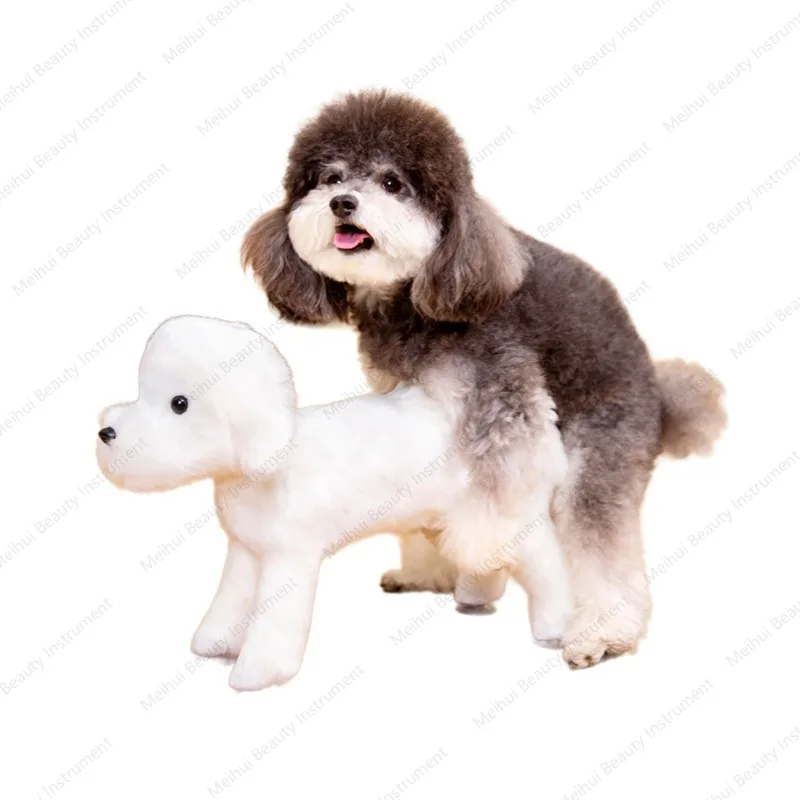 

Male Dog Mating Toy Dog Venting Girlfriend Inflatable Deflating Pet Estrus Significant Other Purging Legs