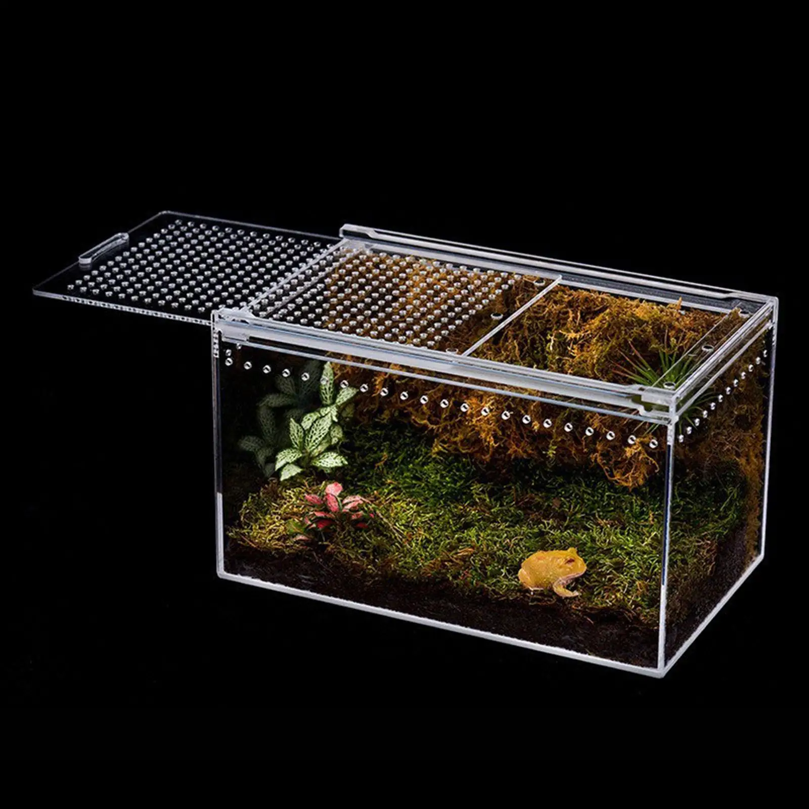 

Reptile Terrarium Clear Ventilation Portable Tortoise Terrarium Habitat Breeding Box Reptile Feeding Box for Frog Snakes Turtle