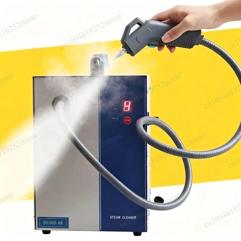 1300W stainless steel jewelry electroplating small 2L steam cleaning machine spraying