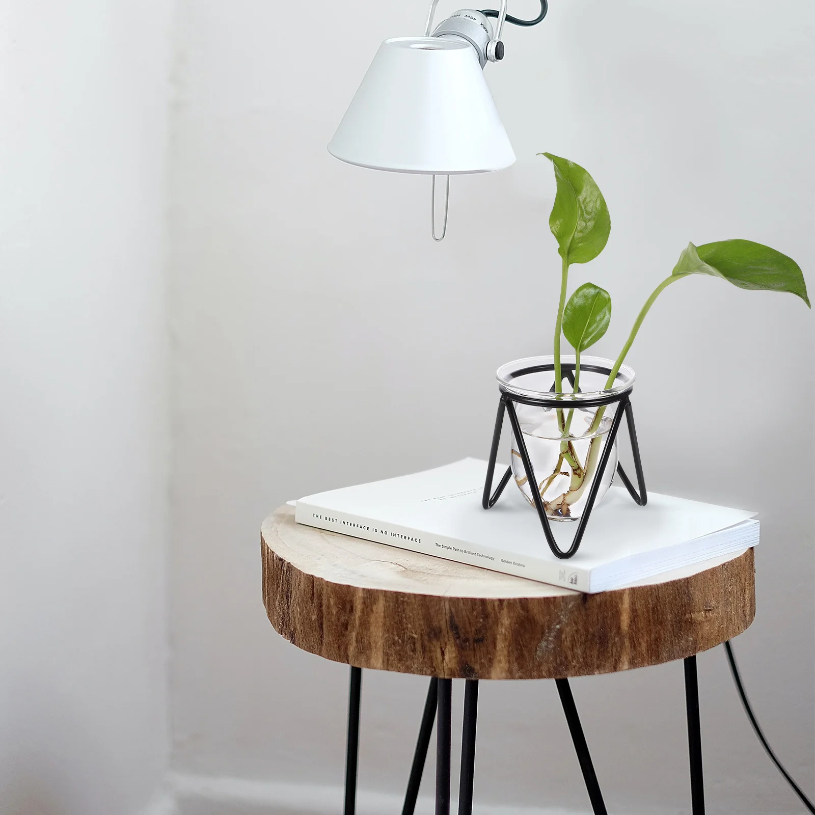 

2Pcs Green Dill Hydroponic Glass Vase Transparent Planter Metal Stand Flower Holder for Desktop Home Decoration