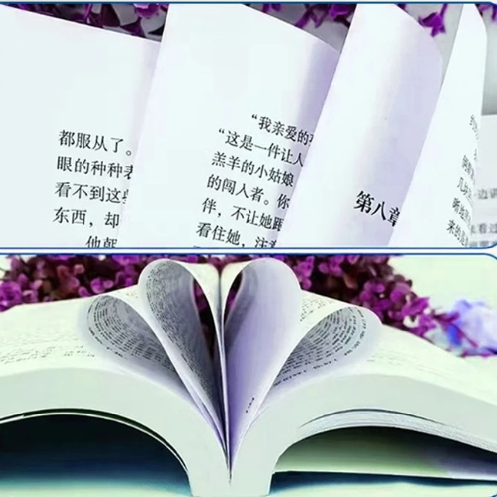 Tao Te Ching Chinese Philosophy Classic Book Original Text Annotation & Vernacular Explanation