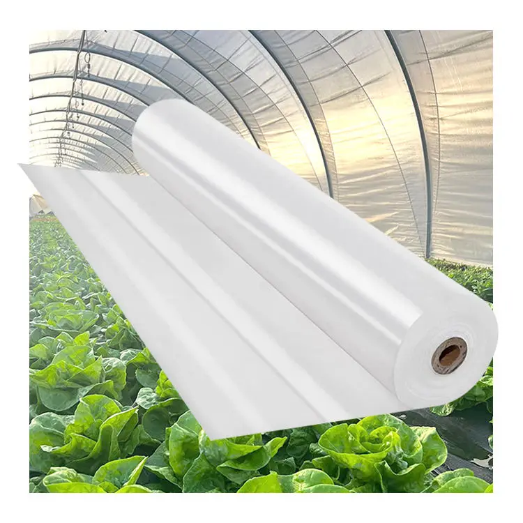 Large Commercial Multi-Span Plastic Film Agricultural Greenhouse Customizable Size Serre Agricole Invernadero
