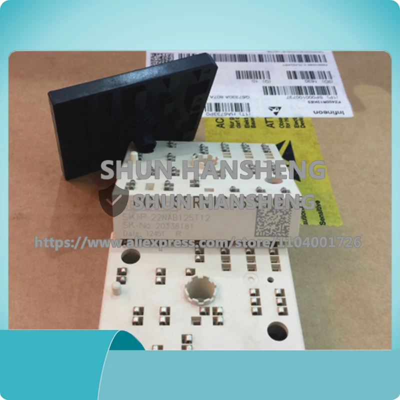 

SKIIP20NAC12IT42 SKIIP24NAB125T12 SKIIP20NAB125T12 SKIIP21NAB063T30 SKIIP21NAB063T41 ORIGINAL MODULE