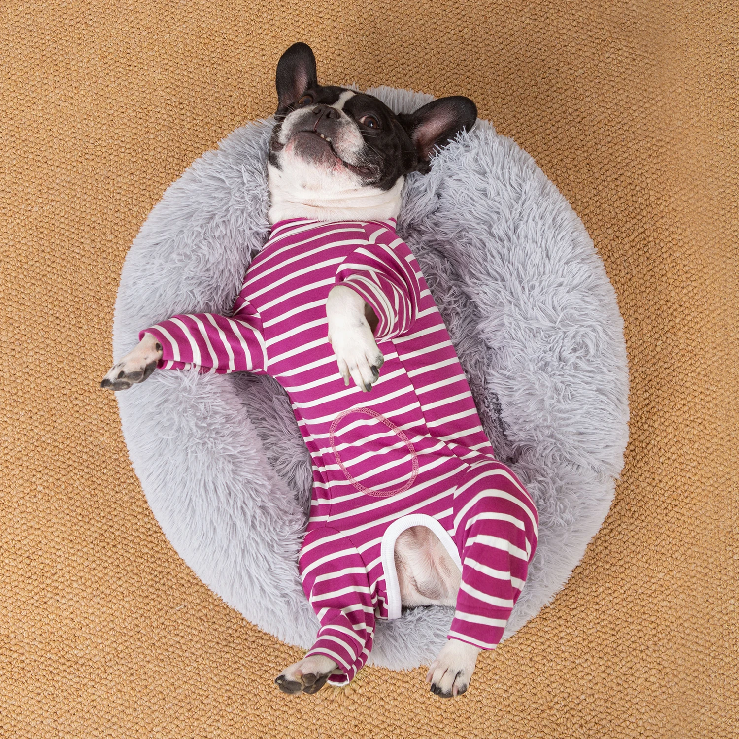 Dog Pajamas for Small Dogs Striped Soft Breathable Pet Recovery Suit Cuttable Belly Full Body Suit for Boy Girl Dogs All Seasons