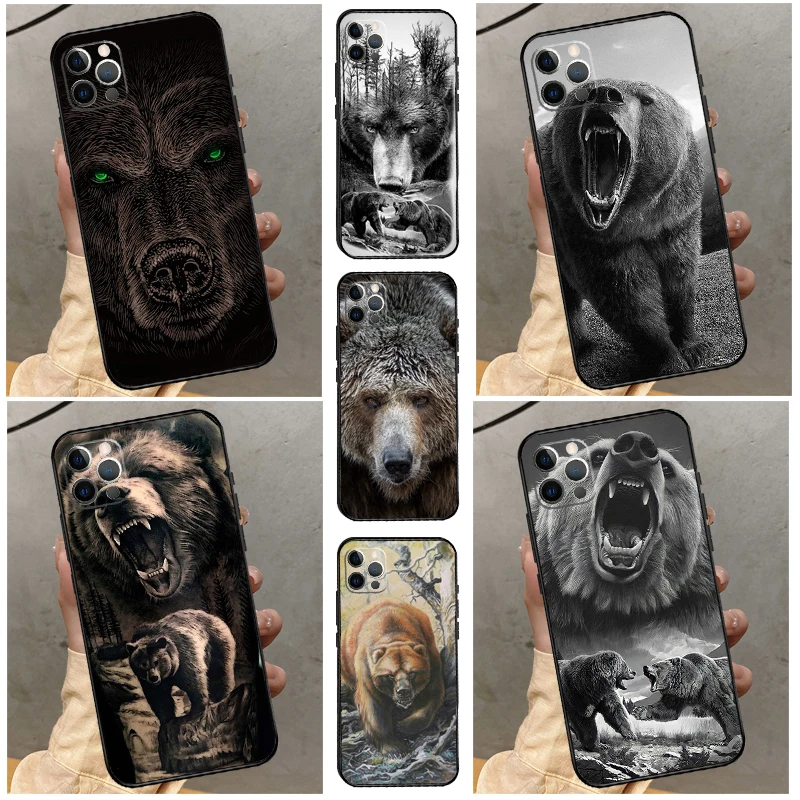 Cute Grizzly Bear C…