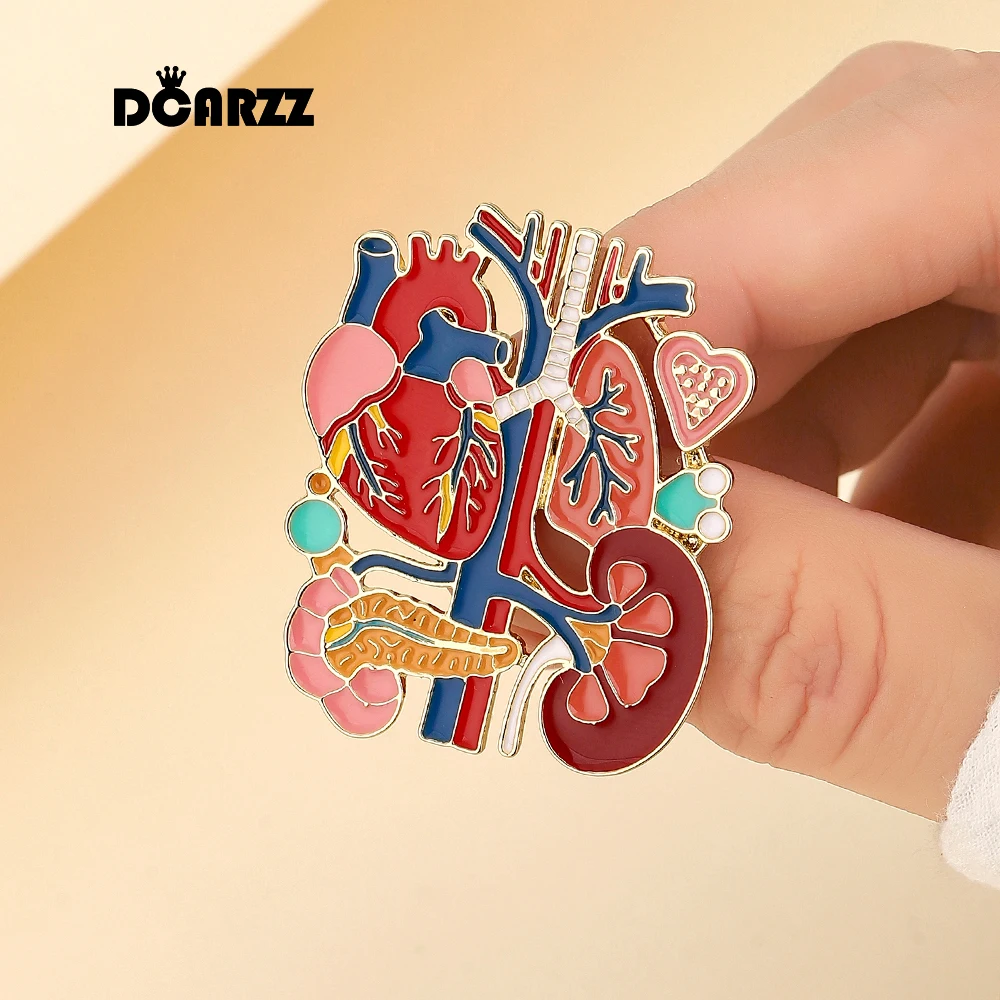 DCARZZ Original Kidney Liver Heart Lung Enamel Pin Badge Biology Anatomy Brooch Medical Jewelry for Doctor Nurse Biologist