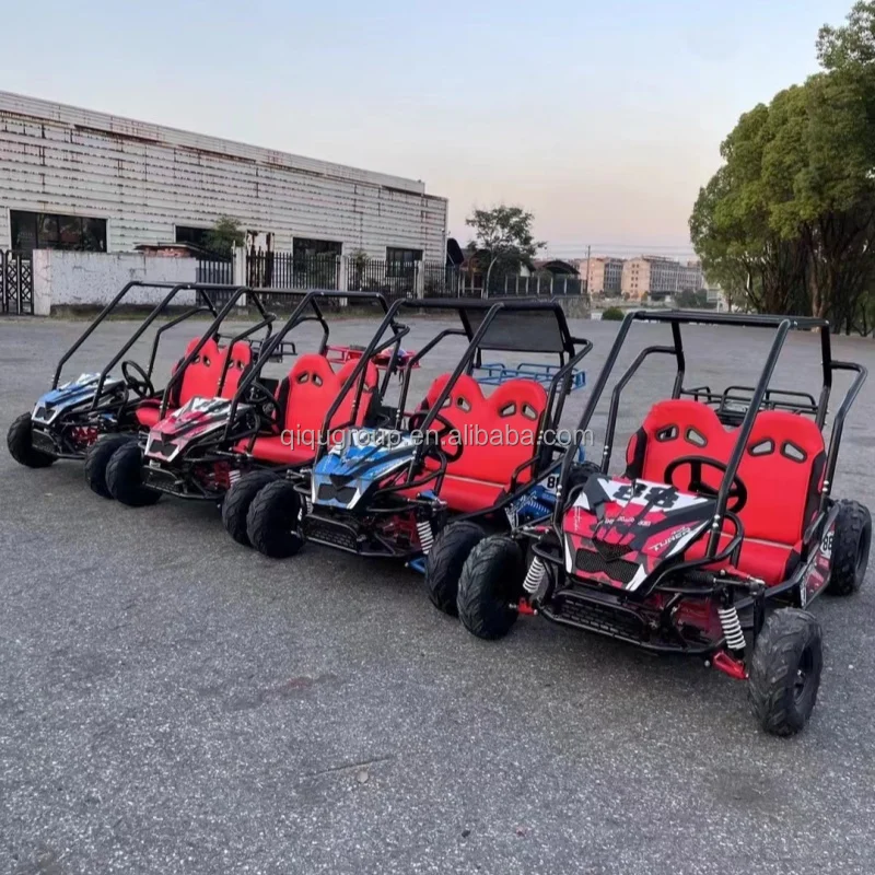 

QIQU Commercial 40km Range with Hydraulic Disc Brakes & Dual Suspension 48V 500W Two-Seater Off-Road Electric Go-Kart