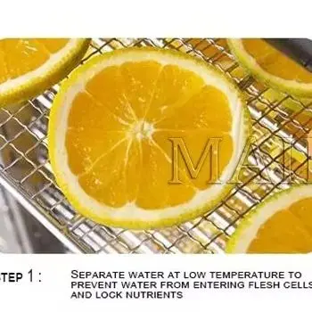 

Сушилка для пищевых продуктов на 80 лотков: для овощей, фруктов, мяса. Дегидратор из нержавеющей стали.