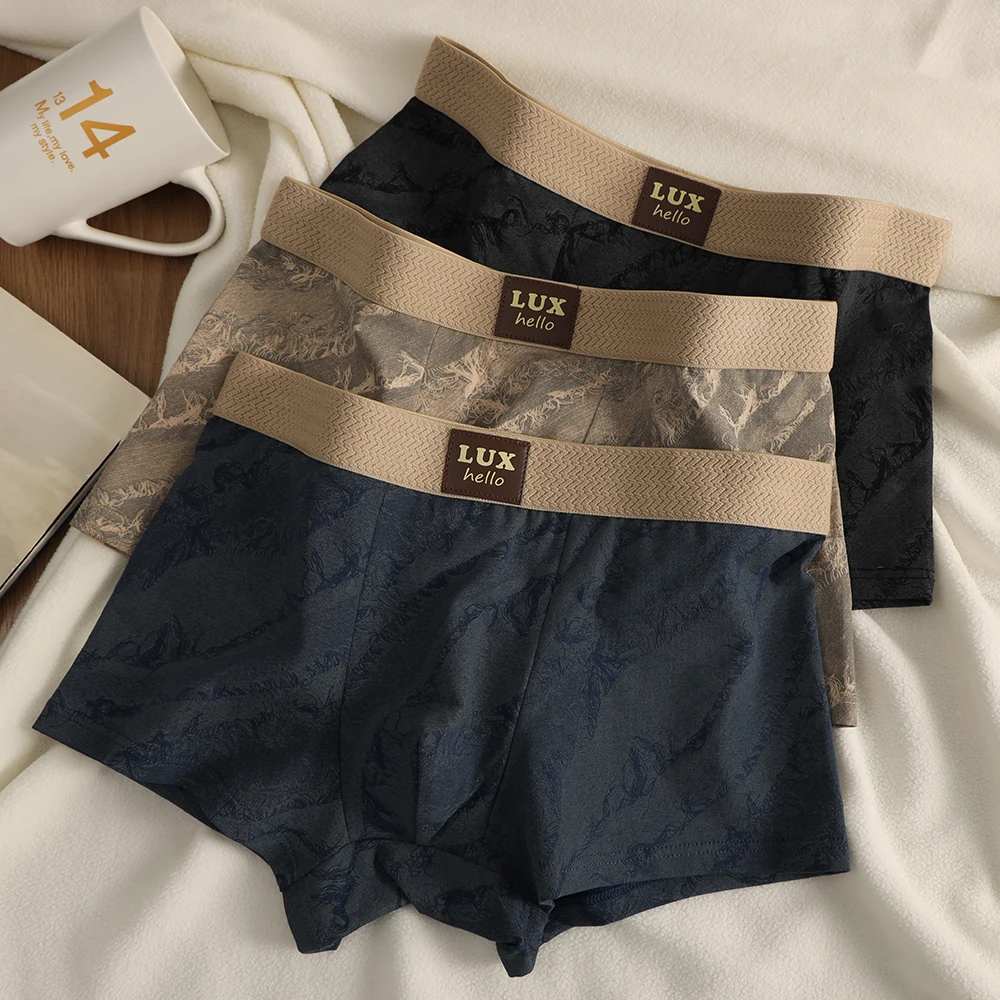 

3PCS/Pack 100% Cotton Luxury Print Boxers Hombre 3D Mesh Breathable Antibacterial Pouch Underwear Comfortable Soft Men's Panties