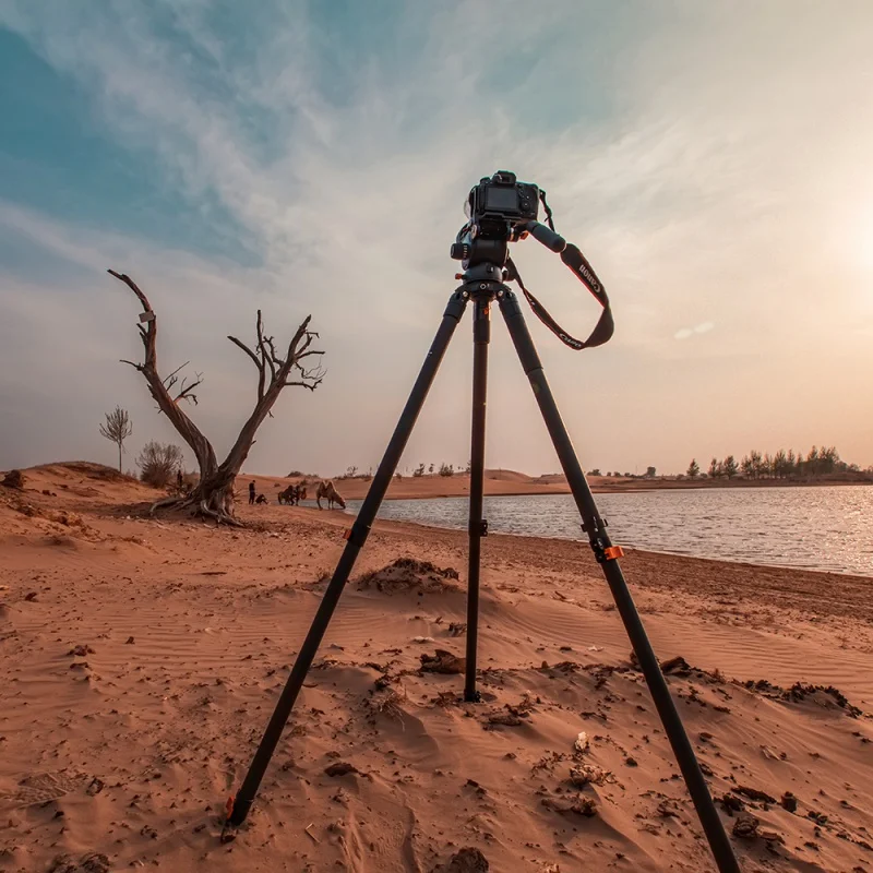 Iphoto-TC9 المحمولة غزال ترايبود ، ألياف الكربون ، كاميرا التصوير المهنية ، SLR 5D