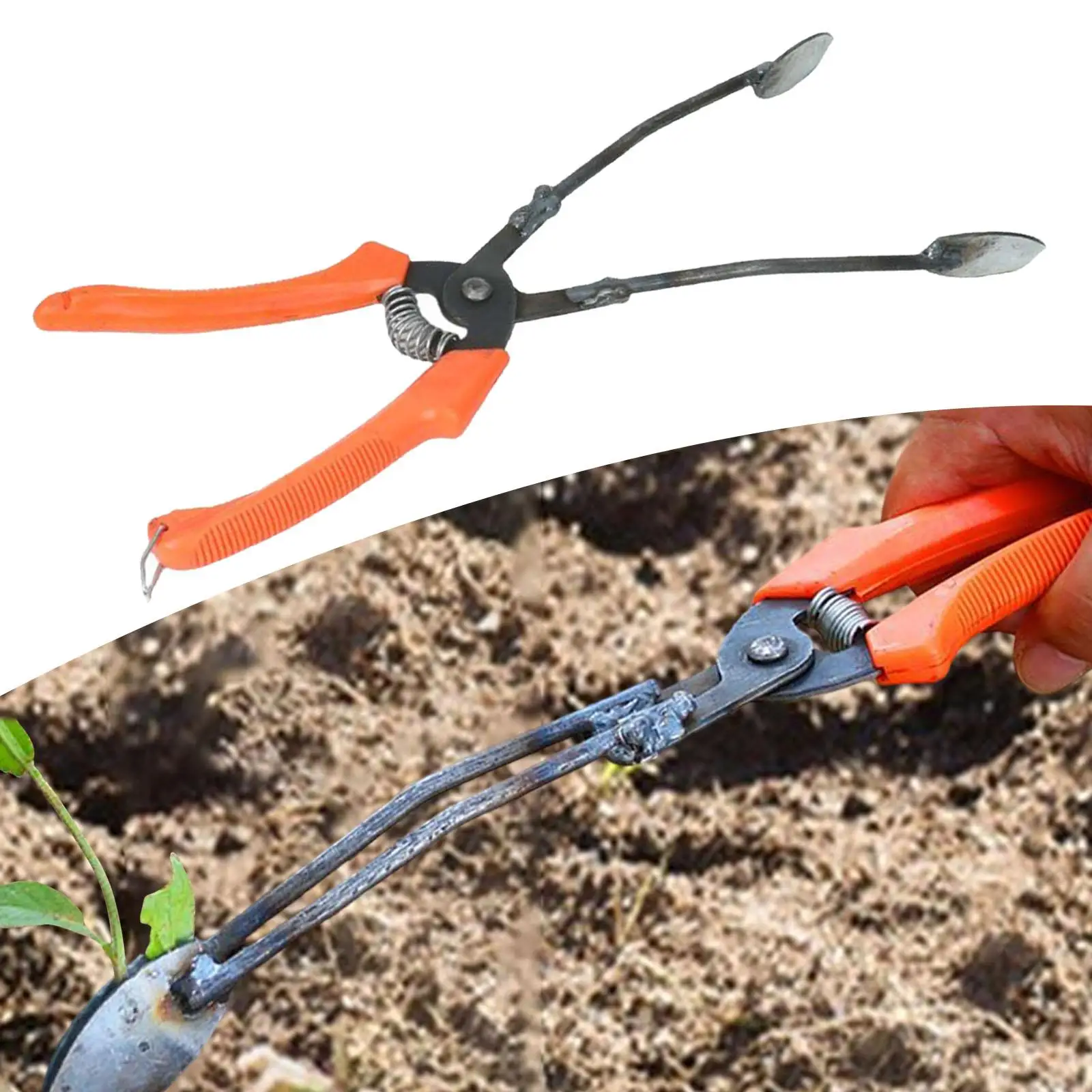 Sweet Potato Transplant Tool Seedling Device Portable Multifunctional Vegetable Planting Tool for Vegetable Young Plants