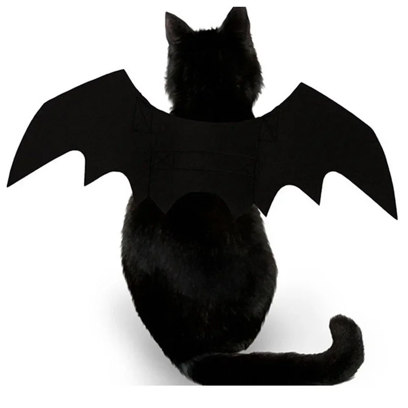 Costume d'Halloween pour Petits Chiens et Chats, Ailes de Chauve-Souris, Vampire, Accessoires Mignons, Décorations