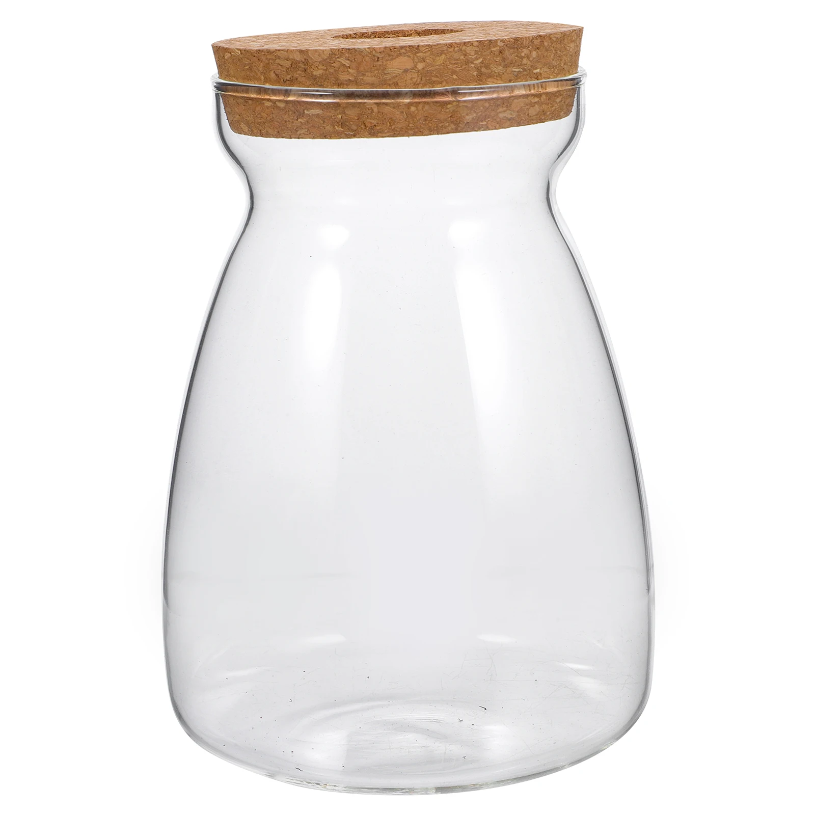 

Terrarium Jar Glass Transparent Container Size L Hydroponic Ecosystem Terrarium with Lid Micro Landscape Glass Jar