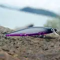 Fishlure-08