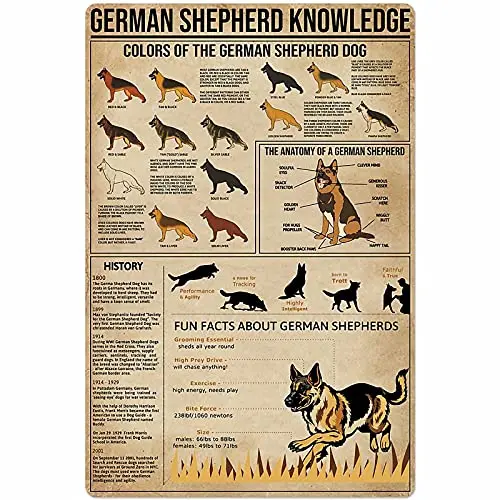 Dog Knowledge Metal Tin Sign German Shepherd Anatomy Color Aluminum Poster Farm School Education Home Kitchen Club Garage