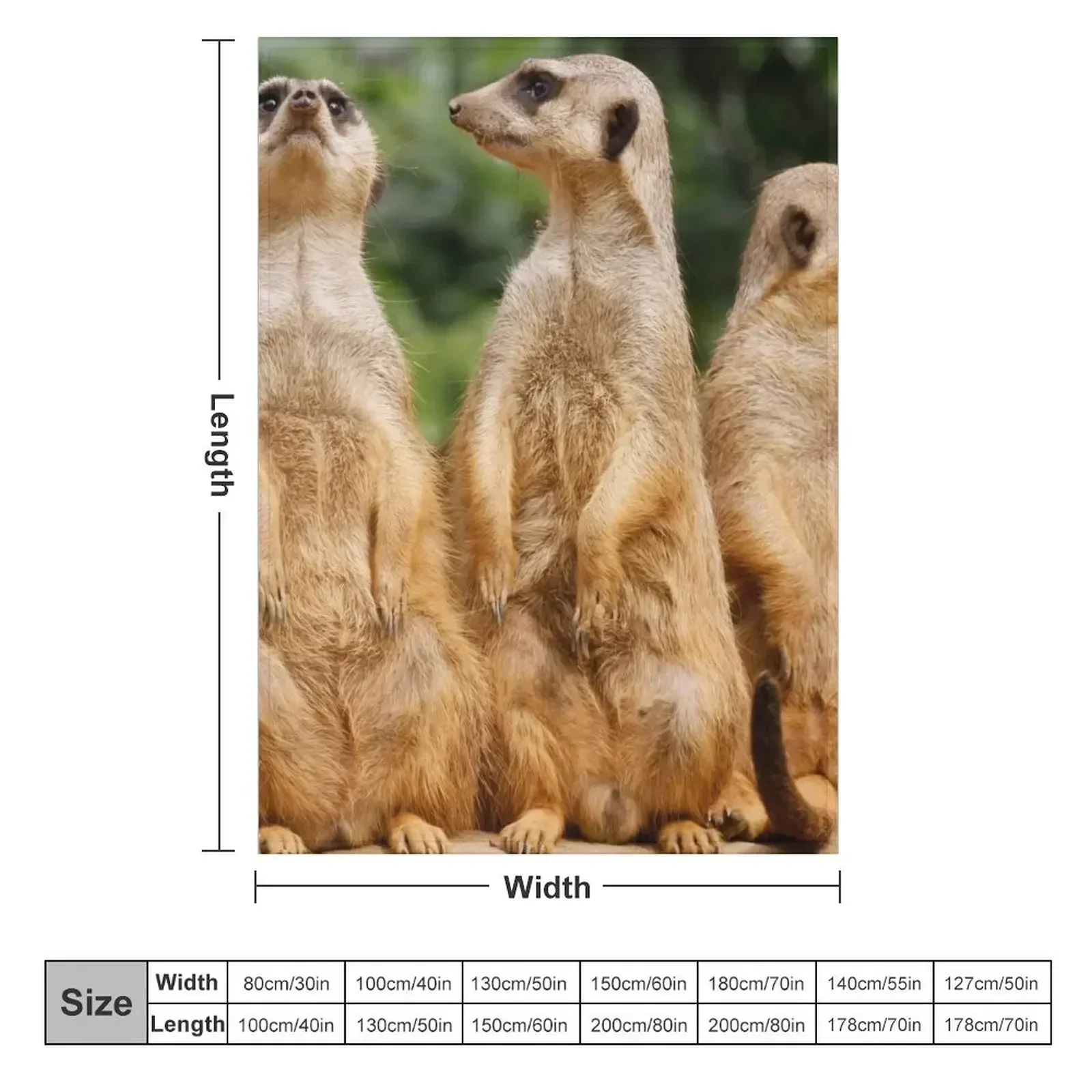 Meerkat 074 Throw Blanket Fashion Sofas Extra Large Throw for winter Multi-Purpose Blankets For Sofas Thermal Blankets