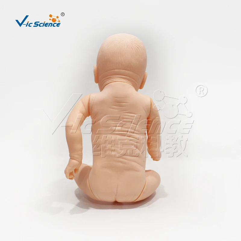 Advanced infant tracheotomy nursing model