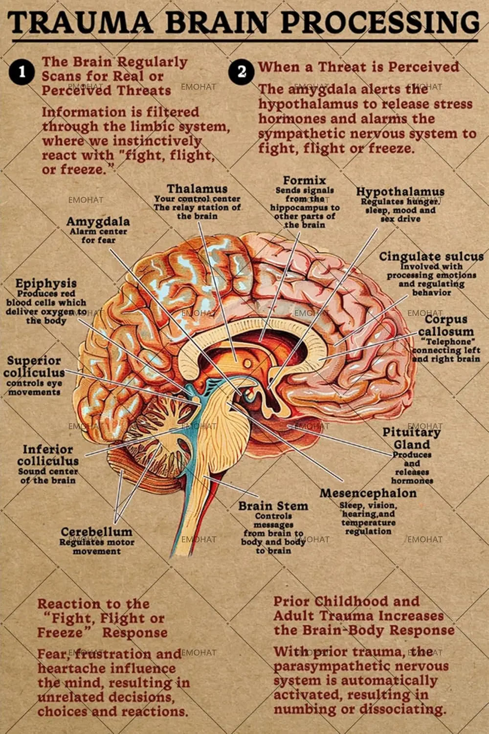 EMOHAT Trauma Brain Processing Metal Tin Sign - 16x12  Mental Wall Decor for Therapists, Counseling Offices - Psychology Educati