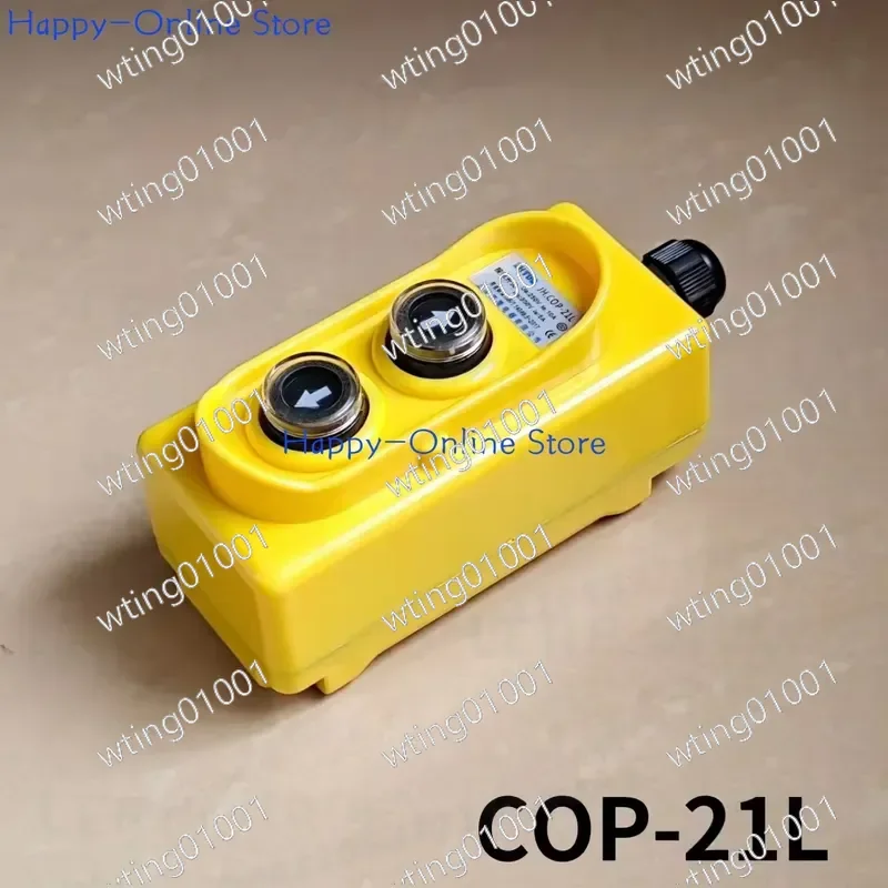for COP-21L Up Down Push Button Station Direct Control Pendant for Electric Hoist Crane Lifting Equipment Replacement Switch