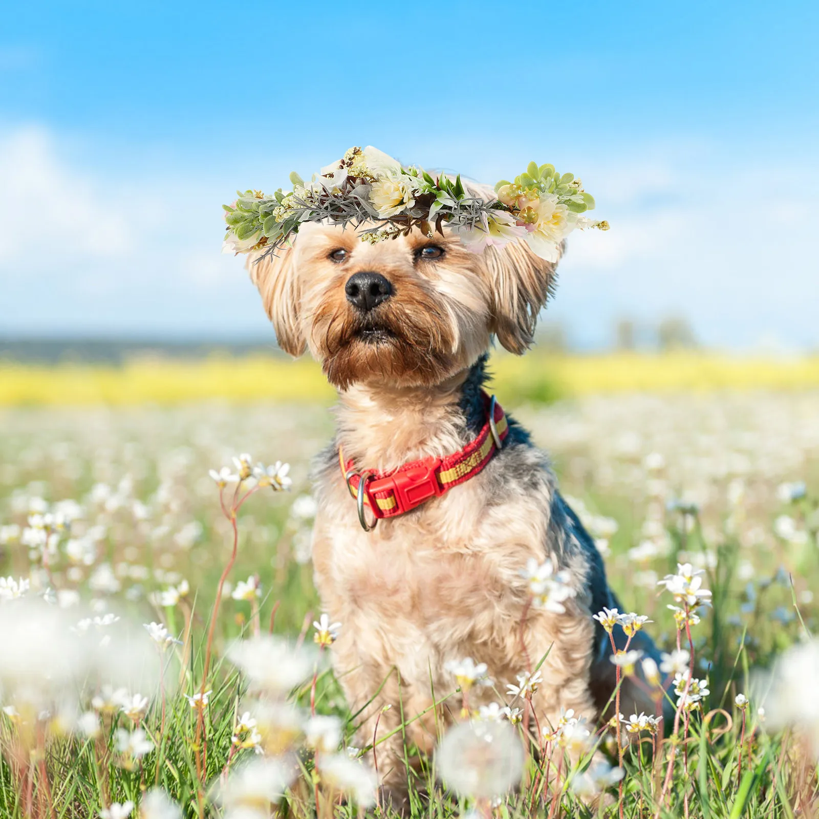 

Dog Wedding Flower Collar Artificial Flowers Decor Durable Lightweight Photo Prop Pet Accessory Dog Floral Crown for Wedding