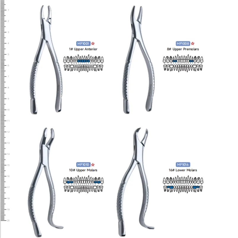 

Merison Dental Extracting Forceps With Matte Surface Extracting Forceps For Adults Be In Great Demand