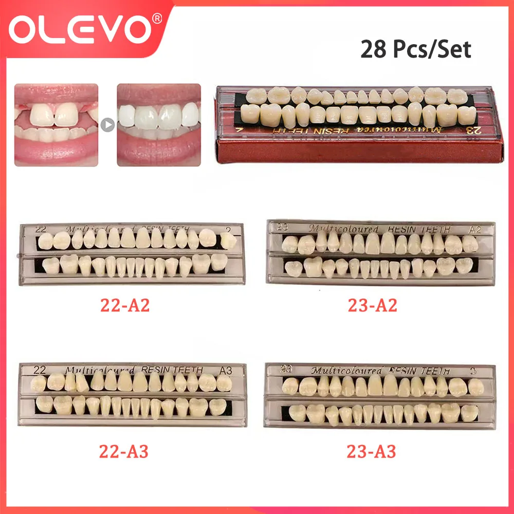 

28 Pcs/Set Dental Composite Resin Teeth Denture False Multi-layer Color Full Mouth Teeth Teaching Model Dentistry Education