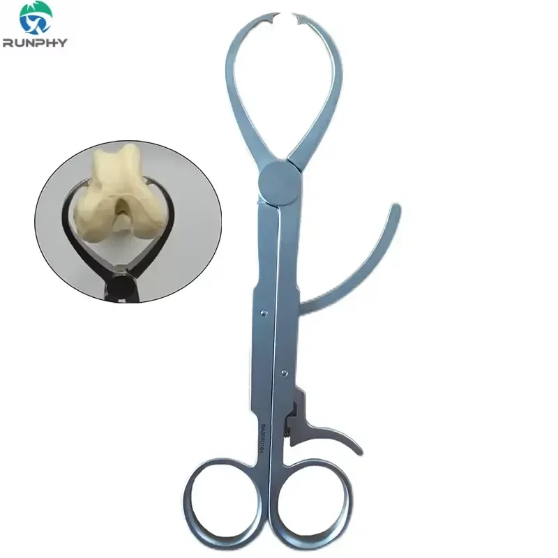 2026 New, High Quality, Veterinary Reduction Forceps with Limit for Medical Animal Pet Procedures