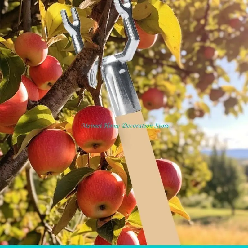 H7BF 6Pieces Aluminium Alloy Branch Support Stakes Tree Toppers Holder for Fruit Tree Stability and Youthful Tree Care