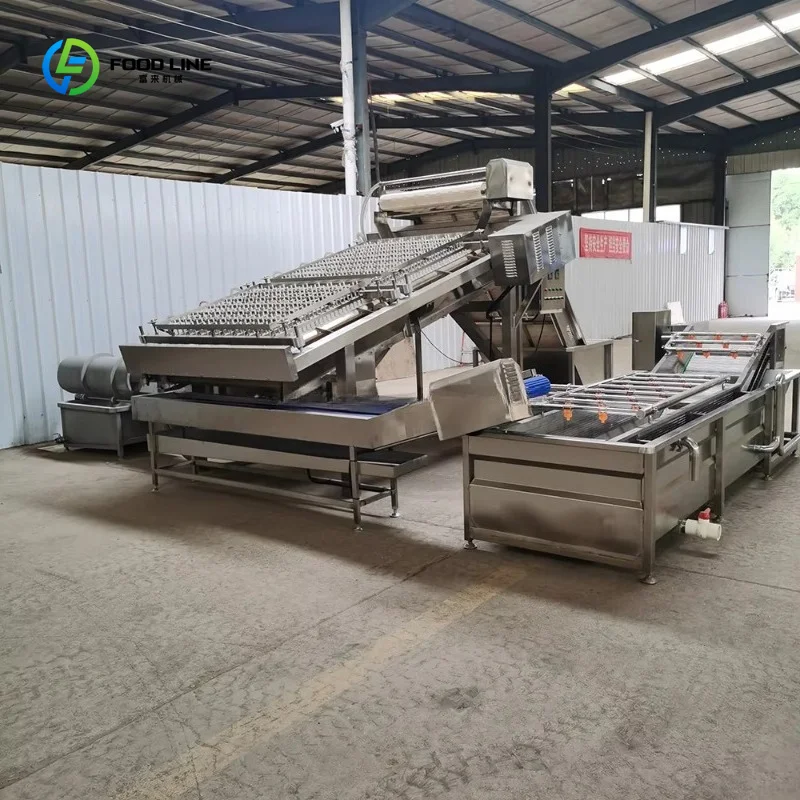 Water Recycling Shrimp Cleaner Peeler Deveiner Eco Friendly for Continuous Frozen Seafood Line Custom